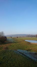 Scenic view of field against clear blue sky