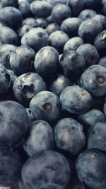 Full frame shot of blueberries in market