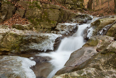 Scenic view of waterfall in forest