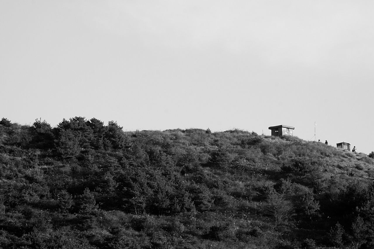 clear sky, tree, copy space, tranquility, tranquil scene, landscape, nature, scenics, beauty in nature, hill, mountain, built structure, architecture, non-urban scene, building exterior, low angle view, growth, house, sky, day