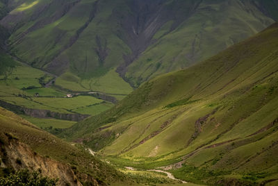 High angle view of green landscape