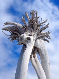 Stark dead white desert tree against a blue cloudy sky