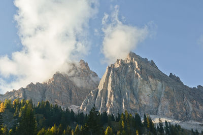 Trees against rocky mountain range