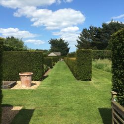 Scenic view of green landscape against sky