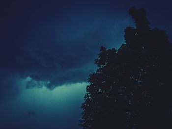 Low angle view of silhouette trees against sky at night