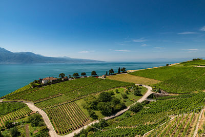 Vineyards on lake geneva, excursions and itineraries among the vineyards, panorama on lake geneva.