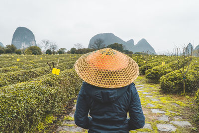 Rear view of woman wearing asian style conical hat against sky