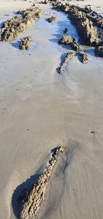 High angle view of footprints on beach