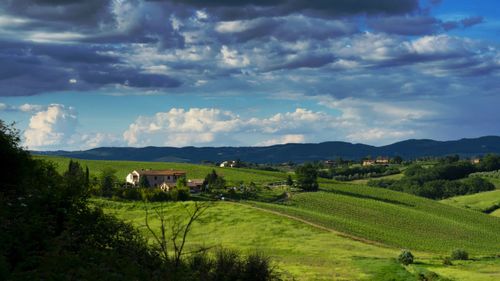 Scenic view of agricultural field against sky