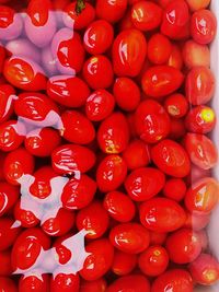 Full frame shot of red berries