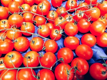 High angle view of tomatoes for sale in market