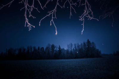 Firework display at night