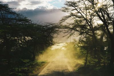 Road amidst trees in forest against sky