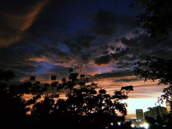 Low angle view of silhouette trees against sky at sunset