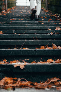 Low section of person walking on leaves