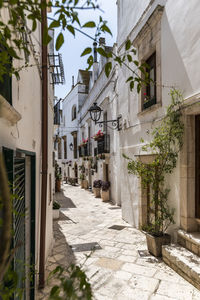 Narrow alley amidst buildings in town