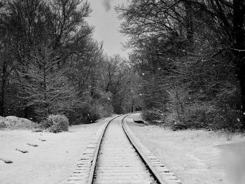 Snow covered railroad track amidst trees during winter