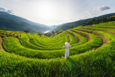 Scenic view of agricultural field against sky