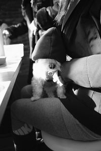 Rear view of people with dog