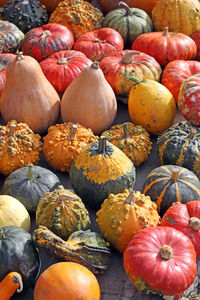 High angle view of pumpkins in market