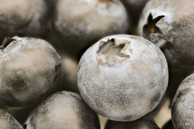 Close-up of fruits in market