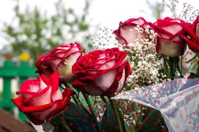 Close-up of rose bouquet