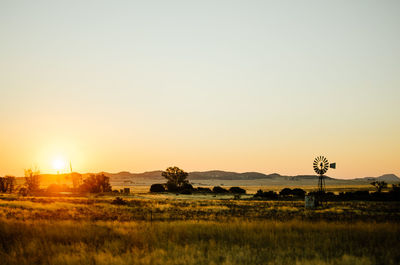 Scenic view of field against clear sky during sunset