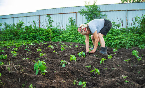 Senior woman planting in backyard