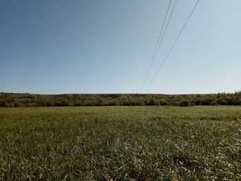 Scenic view of field against clear sky