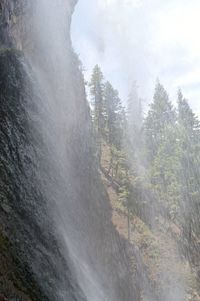 Scenic view of waterfall in forest against sky