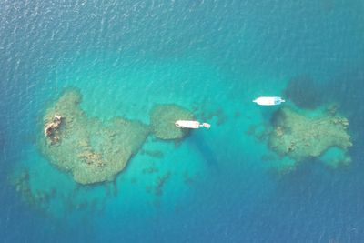 High angle view of man swimming in sea