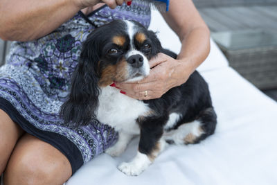 Low section of person holding puppy