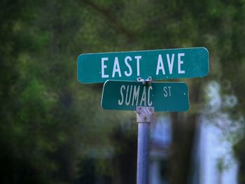 Close-up of road sign