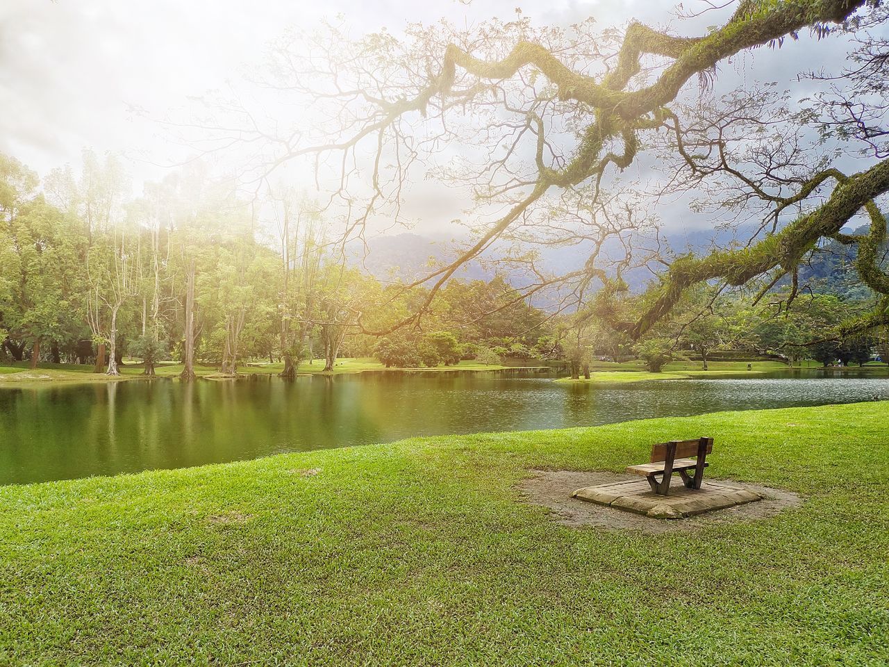 SCENIC VIEW OF PARK BENCH BY LAKE IN GRASS