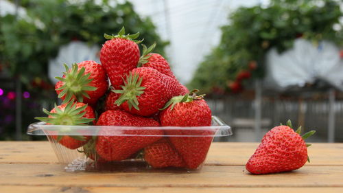 Close-up of strawberries in bowl on table