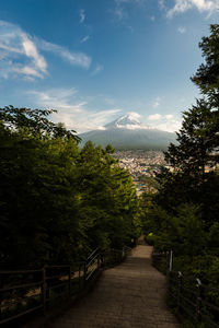 Trees by mountain against sky