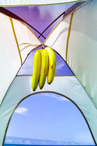 Low angle view of bananas against blue sky