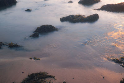 High angle view of sea shore