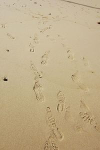 High angle view of footprints on sand at beach