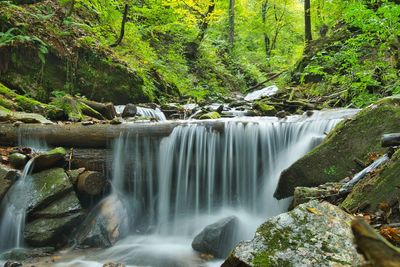 Scenic view of waterfall in forest