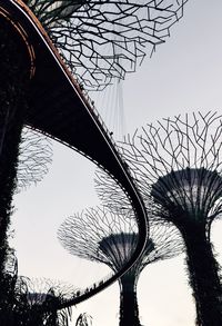 Low angle view of bare tree against clear sky