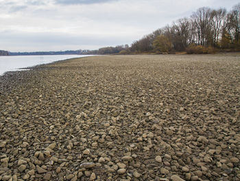 Surface level of stones on beach against sky