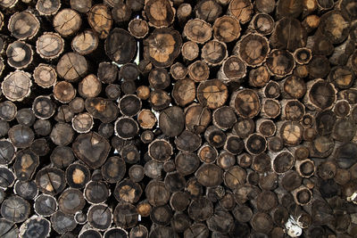 Full frame shot of logs in forest