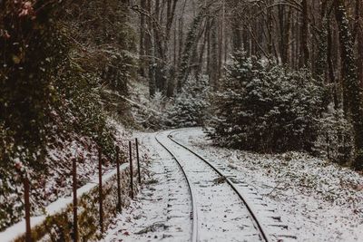 Empty road amidst snow covered trees in forest