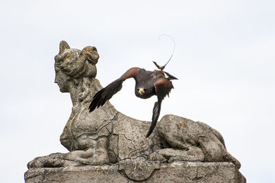 Low angle view of statue against clear sky