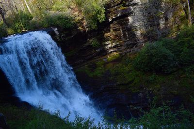 Scenic view of waterfall in forest