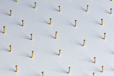 Low angle view of birds flying against white background