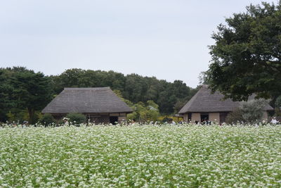 House on field by trees against sky