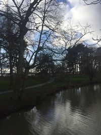 Scenic view of lake in forest against sky