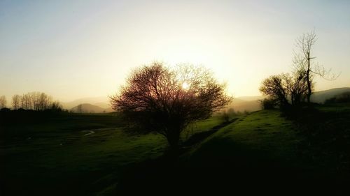 Scenic view of grassy field against sky